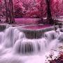 @shamimnishat7367