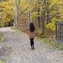 @sanasharjil734