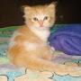 @Rismawati-rw7xd