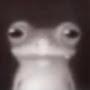 @Froggie_Bones