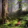 @midnightraven123-f7w