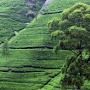 @pradeepin7661