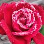 @zhannazhanna3812