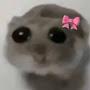 @khsweetie