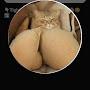 @sbtig9637