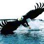 @TabernaculodeNhamatandal5875
