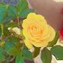 @pavansri4166