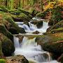 @zouhirelmezraoui1336