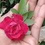 @shabnamshabnam7968