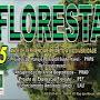 @florestaassessoria3772