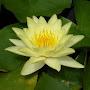 @Swami_Omeshwranand