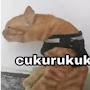 @GilzzNguwawor