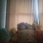 @polina-youtube-123