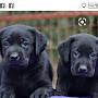 @fatmauluncer72