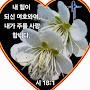 @박정례-q9b