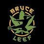 @BruceLeef