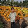 @jitendragawade881