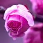 @anghungcuong6902