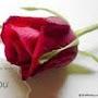 @iammilan1963
