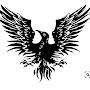 @blackbird7225