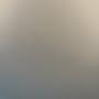 @nzt29
