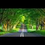 @AhmedEr-c4l1234