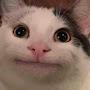 @Meow-ks3dj