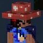 @Sonicmaty_in_every_game