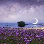 @themoonscharmingtarot1175