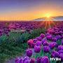 @FeryalHussam
