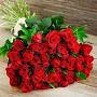 @allahditta7767