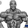 @musclebuilder5489