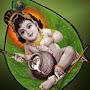 @kbhargaviramakrishna