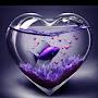 @Funny_fishes