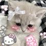 @فروحه-م3ض