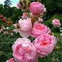 @fixitnabil1335