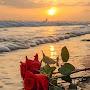 @Tarana_777