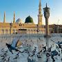 @arfat232
