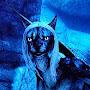 @benenecat