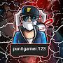 @Punitgamer.123