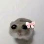 @Sad_Hamster_Slay