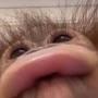 @Monkey-b6f