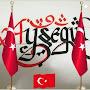 @aysegulcefikirler321