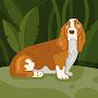 @InnocentBassetHound-eo1qh