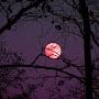 @shanthelgaray3501