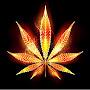 @SmokeDoinks420