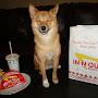 @DogBurgerr