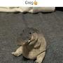 @Greg-w2u