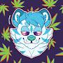@KodakTiger