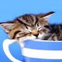 @fabien19761